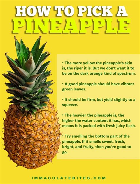 When Is Pineapple In Season A Guide To Fresh And Juicy Pineapples Fruit Faves