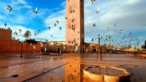 سياحة المغرب وقمة الأطلس والمناظر الطبيعية التي لا مثيل لها الصفوة