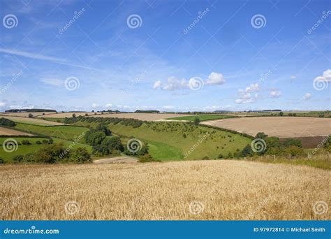Scenic Agricultural Valley Stock Photo Image Of Grazing 97972814