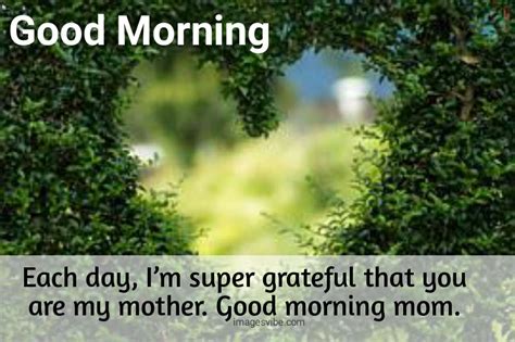 Best 30 Good Morning Mom Images With Quotes 2023 Images Vibe