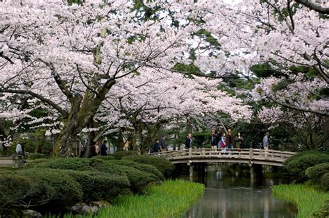 Kenrokuen Garden｜attractions｜visit Kanazawa Japan Official Travel Guide