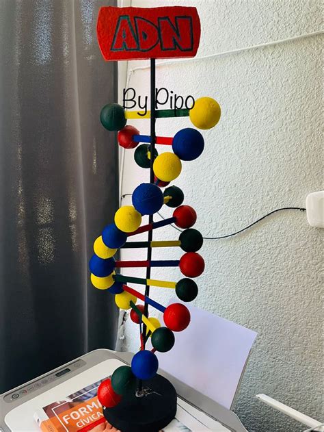 Maqueta De La Estructura Del Adn Manualidades Educativas Maquetas