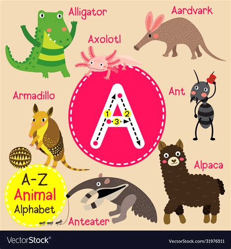 Letter a tracing ant aardvark armadillo alligator Vector Image