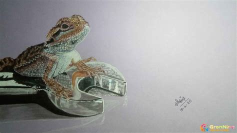 Realistic Drawing Of Lizard How To Draw A Grannino