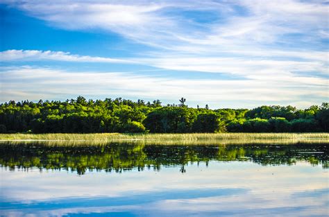 Free Images Landscape Tree Water Nature Forest Grass Horizon