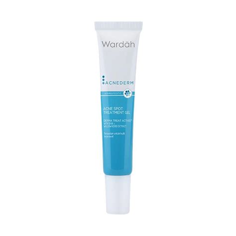 Jual Wardah Acnederm Acne Spot Treatment Gel Obat Jerawat [15 mL] di
