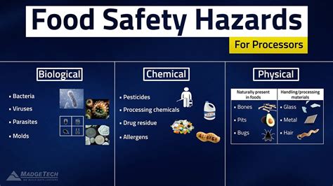 Haccp Food Safety Hazards Food Safety Safety Hazards Food Processor