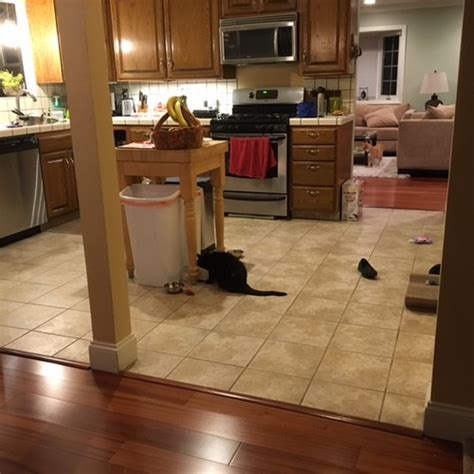 Granite and marble, in particular. Need help with kitchen flooring transition to dining and ...