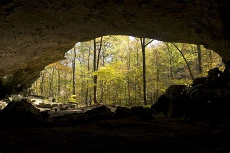 Hiking To This Aboveground Cave In Arkansas Will Give You A Surreal