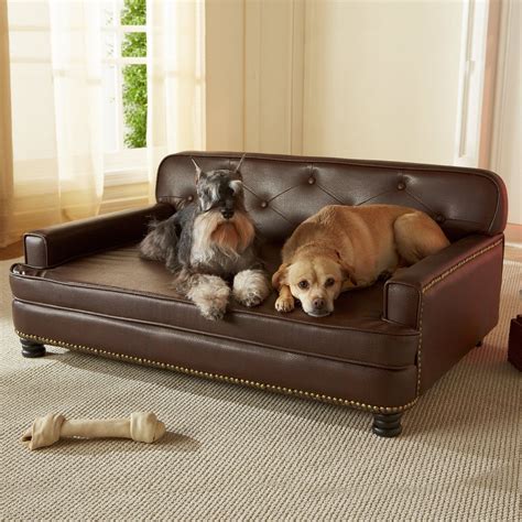 Top 6 Best Orthopedic Dog Beds Reviews Best Top Care With Dogs