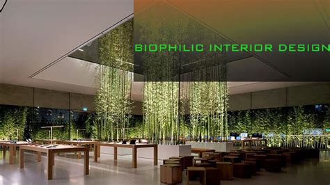 Biophilic Interior Design