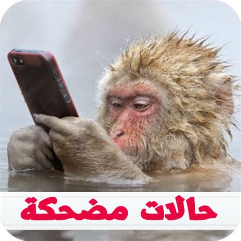 App Insights: منشورات فيسبوك و حالات واتس اب مضحكة 2018 ...