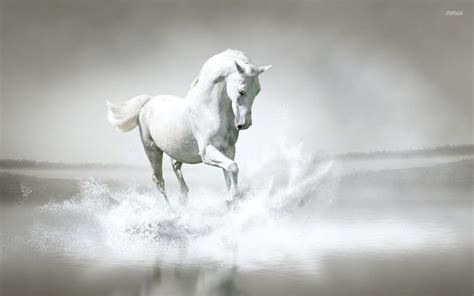 Koleksi Wallpaper Hd White Horse