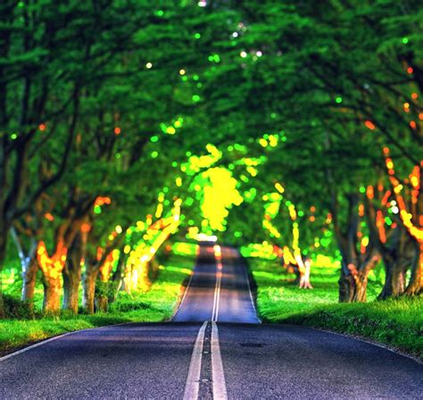 🔥 Forest Blur Cb Nature Road Background Hd Download Cbeditz