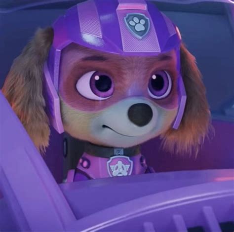 Adorable Paw Patrol Character Driving A Car