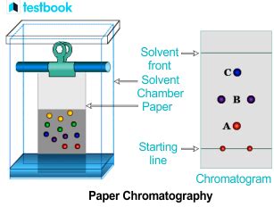 Paper Chromatography Learn Principle Diagram Types Uses