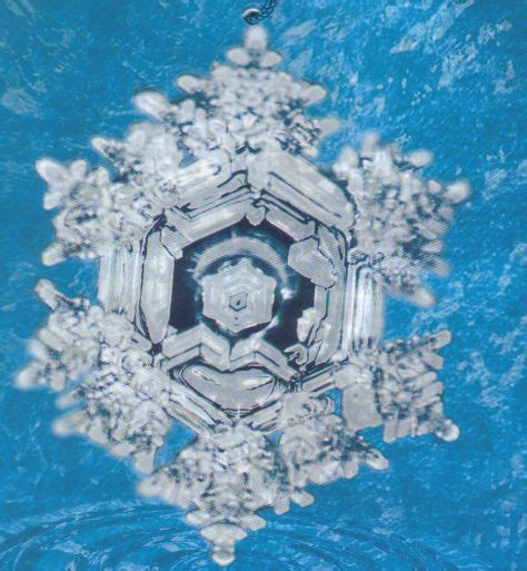 10 Water Crystals Ideas Masaru Emoto Crystals Hidden Messages In Water