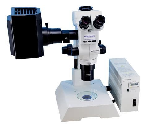 Olympus Szx7 Stereo Fluorescence Microscope Microscope Central