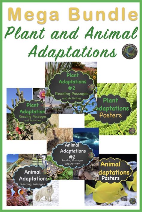 Plant And Animal Adaptations Bundle Informational Reading Passages