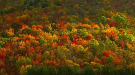 Fall Foliage In Hudson Valley New York © Corbis Video 2015 10 08