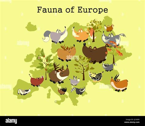 Fauna Of Europe Animal Map Of Europe Childrens Educational Poster