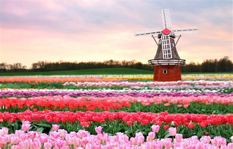 Holanda Es Un País Increíble Y Estas Imágenes Lo Demuestran