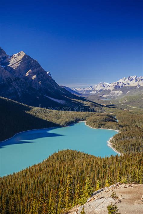 Peyto Lake Banff National Park Rocky Mountains Alberta Canad Stock