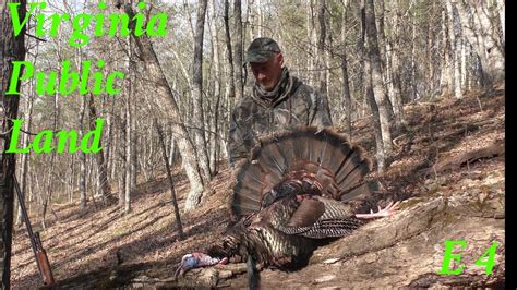 Turkey Hunting Public Land Gobblers In Virginia Youtube
