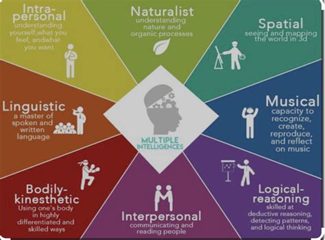 The Theory Of Multiple Intelligences By Howard Gardner In 1983