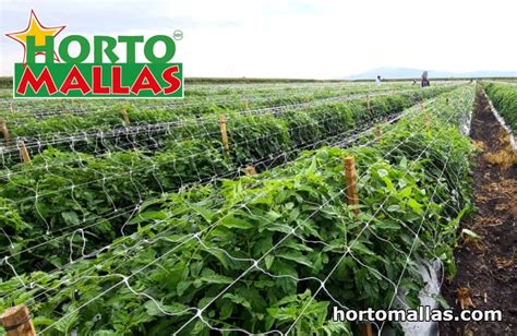Hortomallas Trellis Net Hortomallas™ Supporting Your Crops®