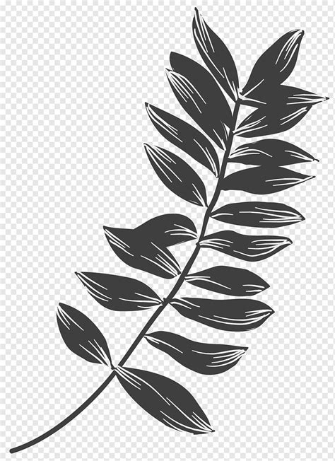 Plant Leaves Leaf Black And White Black Leaves Watercolor Leaves