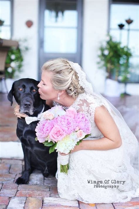 Bride And Her Dog Wings Of Glory Photography Bride Wedding Dresses