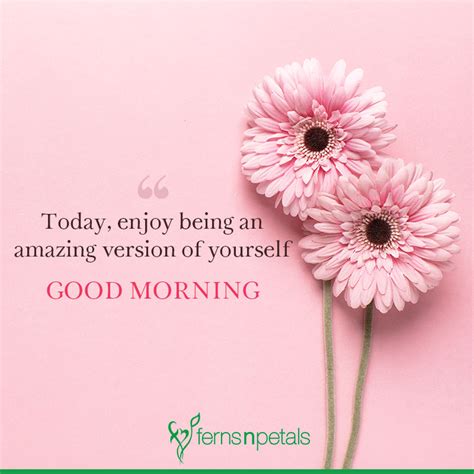 50 Good Morning Quotes Wishes Messages And Images 2023 Fnp Sg