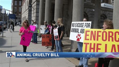 Animal Cruelty Bill To Be Heard At State House Wjar P P
