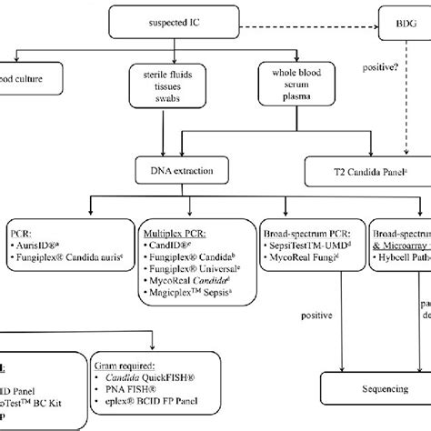 Pdf Molecular Methods For The Diagnosis Of Invasive Candidiasis