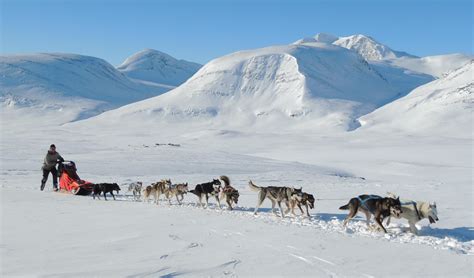 Dogsled Tours In Kiruna Experience Unforgettable Moments