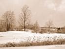 Winter scene Wallpapers. Images and nature wallpaper Winter scene ...