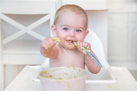 Wie viel isst dein baby? Ab wann dürfen Babys Fenchel essen? | Babyled Weaning