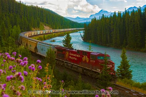 Canadian Pacific Freight Train At Morants Curve Banff