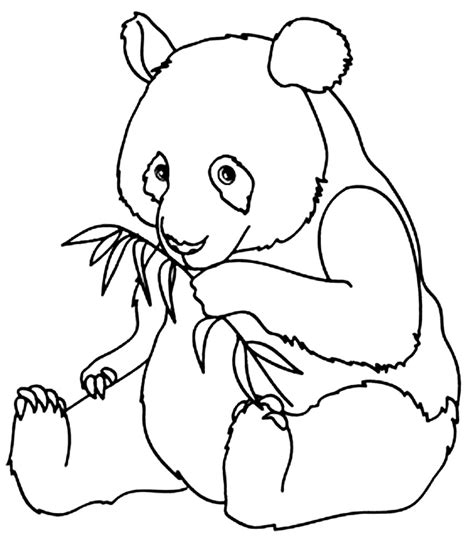 Desenhos De Panda Para Colorir Dicas Práticas