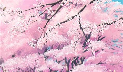 Beautiful Anime Cherry Blossom Tree Phone Wallpaper In
