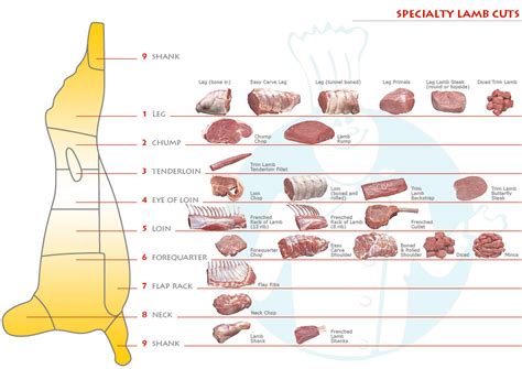 Cuts of meat for mutton. How to Cook Lamb Rump | Livestrong.com