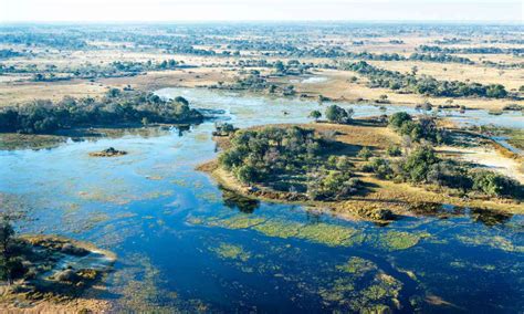 Okavango Delta Trip Planner Wanderlust