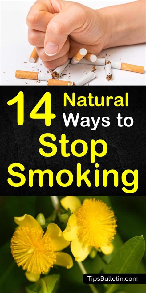 In this method, smoker stops the consumption of nicotine completely. 14 Natural Ways to Stop Smoking