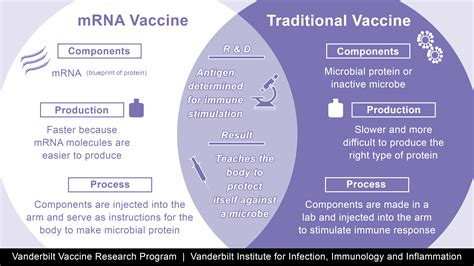 These are the first messenger rna vaccines to be the advantage of mrna technology compared with conventional approaches is that it allows for faster. How does a mRNA vaccine compare to a traditional vaccine ...