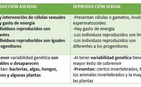Diferencias Entre Reproduccion Sexual Y Asexual Cuadros Comparativos