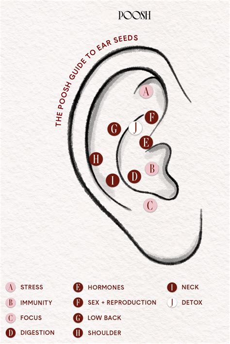 Ear Seeding Benefits Side Effects And Ear Seed Chart Off