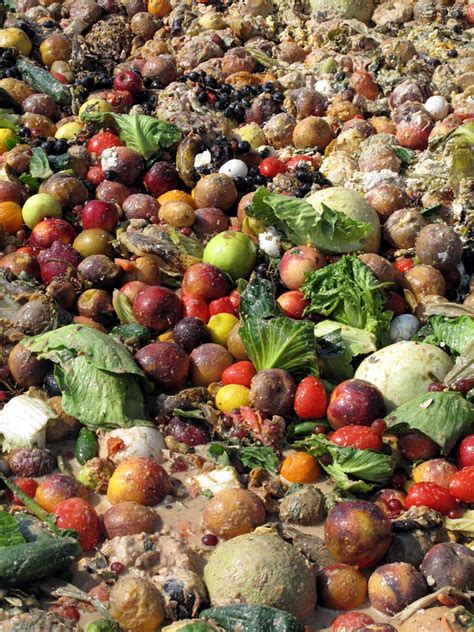 Food waste are problems with our food system that require sustainable solutions. Food BioCycle