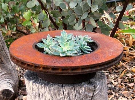 The pots made up of baked clay is most suitable for such a plant because it needs less water and more sunlight so baked clay pot is best for that type of. Succulent Flea Market succulents: Part 2 | Flea Market ...