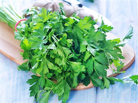 10 Tasty Parsley Substitutes